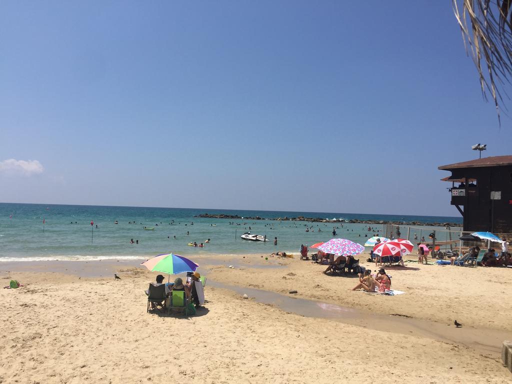 מגדל אלמוג - 