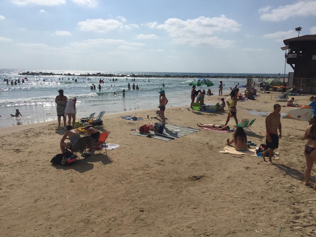 מגדל אלמוג - 