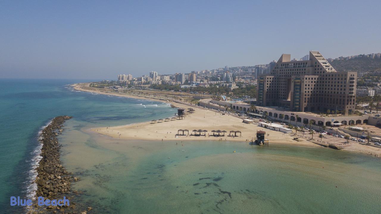 מגדל אלמוג - 