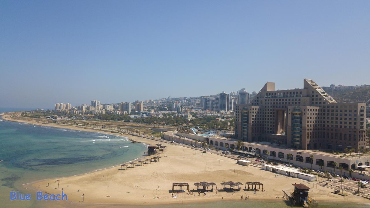 מגדל אלמוג - 