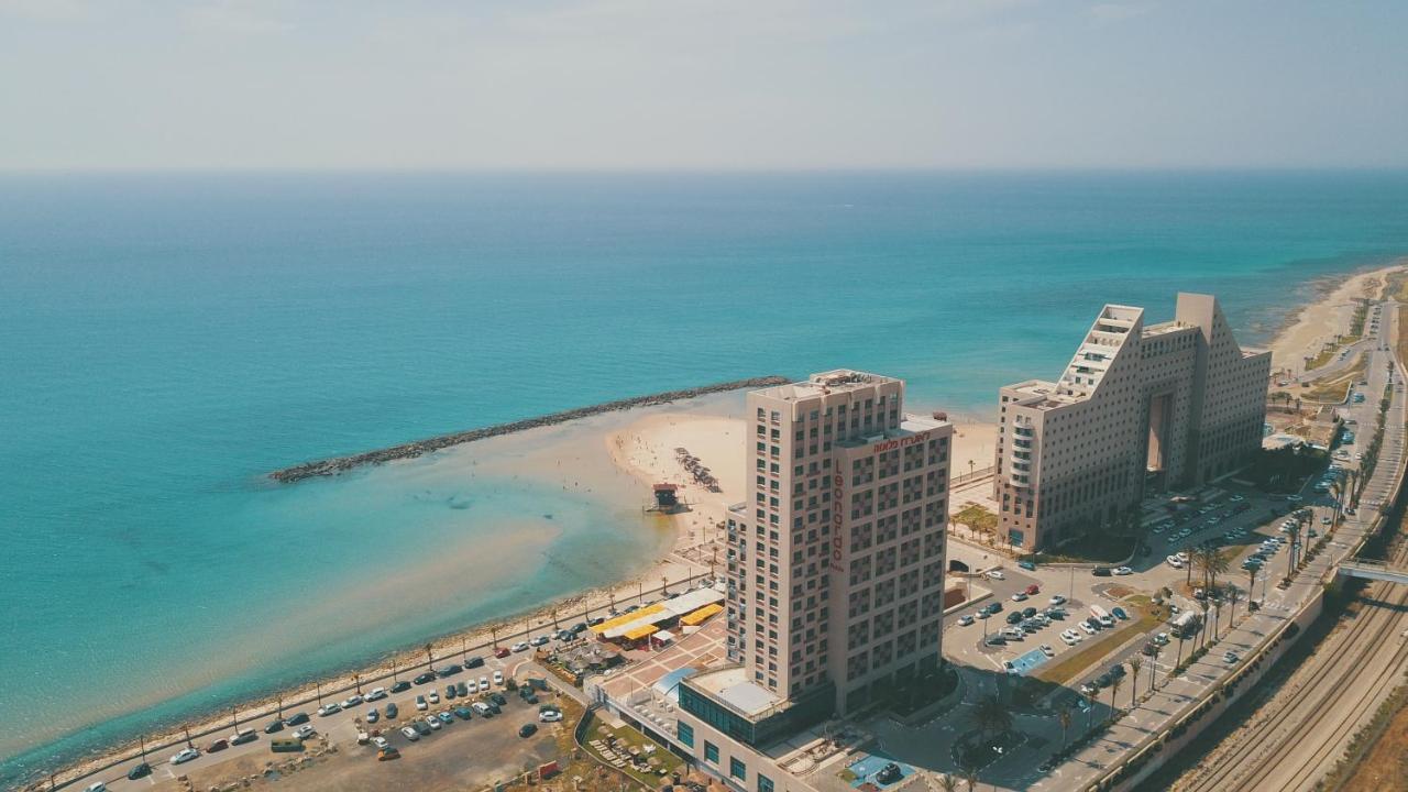 מגדל אלמוג - 