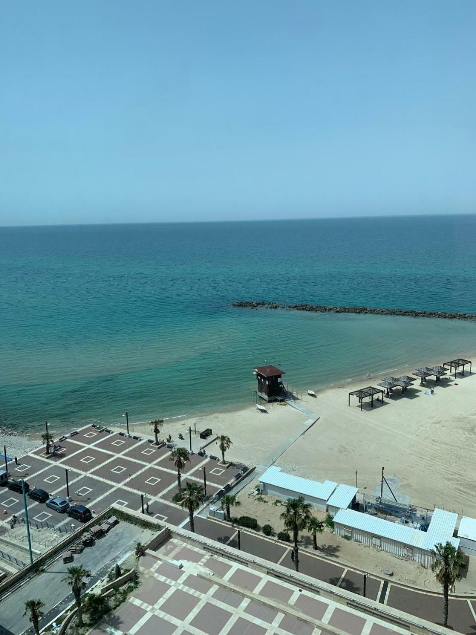 מגדל אלמוג - 