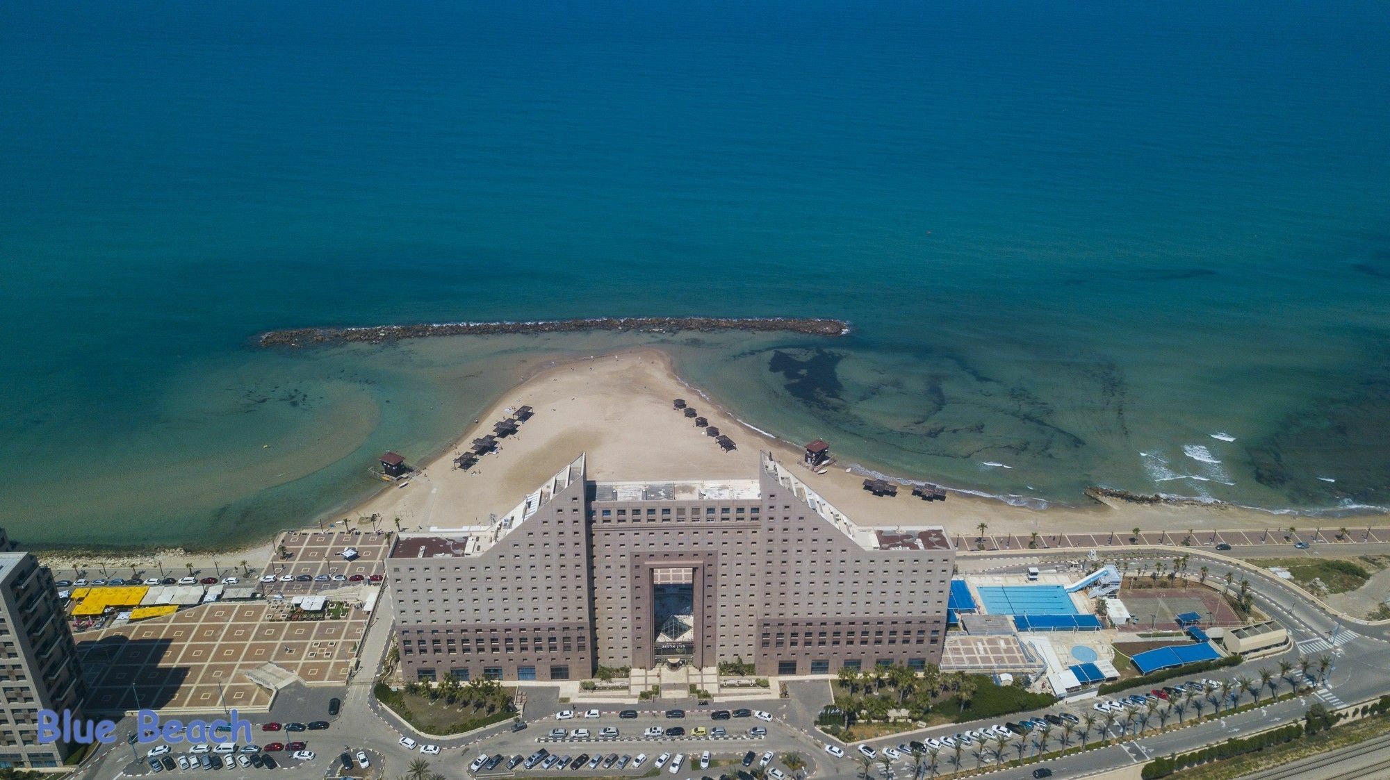 מגדל אלמוג - 